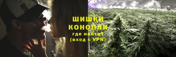 молекула духа Наволоки