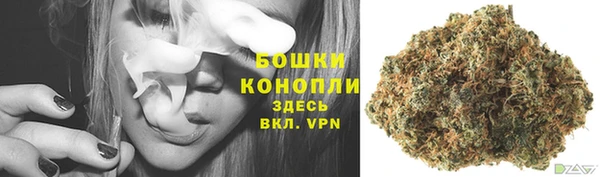 молекула духа Наволоки