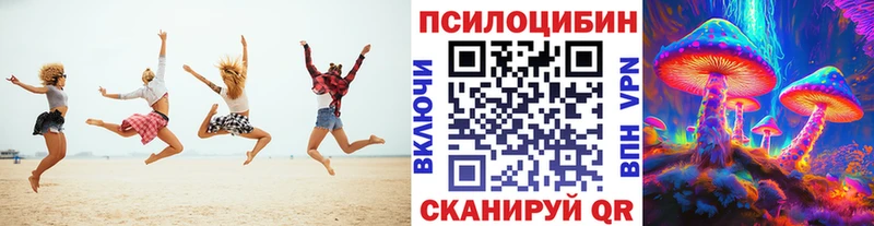 Псилоцибиновые грибы GOLDEN TEACHER  darknet Telegram  Покачи 