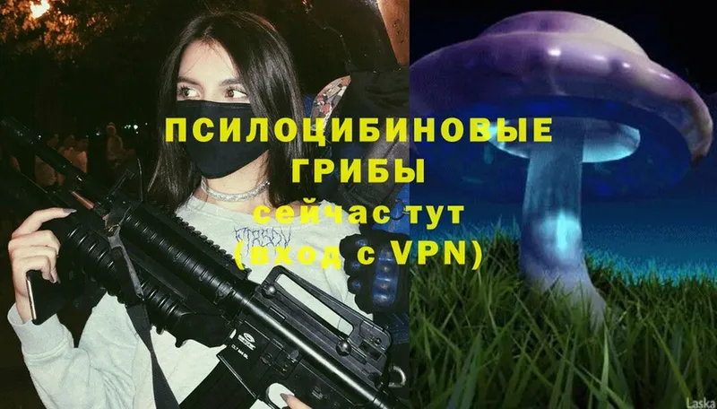 hydra как войти  Покачи  Псилоцибиновые грибы Magic Shrooms 